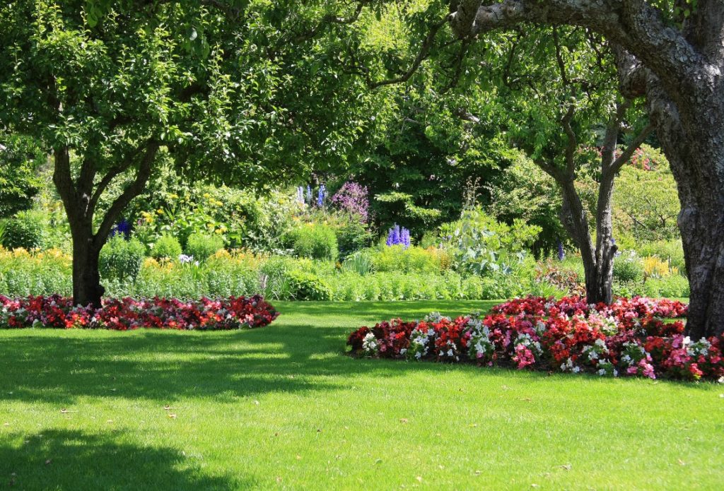 Beautifully manicured park garden in summer. – Beaulieu Landscapes Ltd